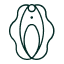 Cáncer de vulva